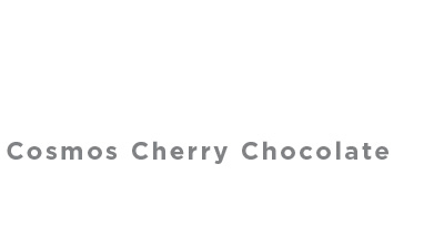 Cosmos Cherry Chocolate