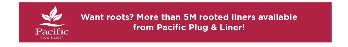 More than 5M rooted liners available from Pacific Plug & Liner