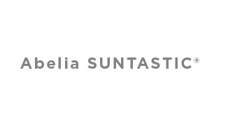 Abelia SUNTASTIC Collection
