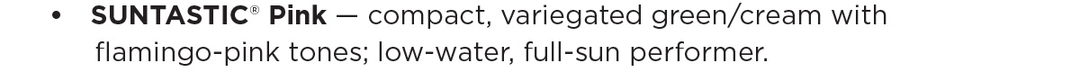 SUNTASTIC® Pink