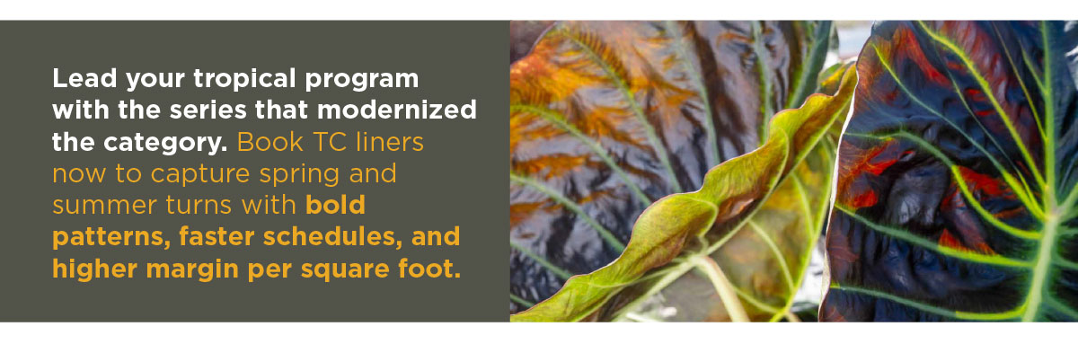 Tissue Culture Liners