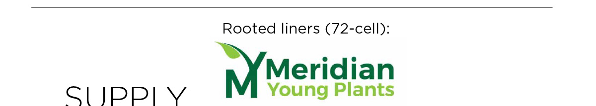 Meridian Young Plants