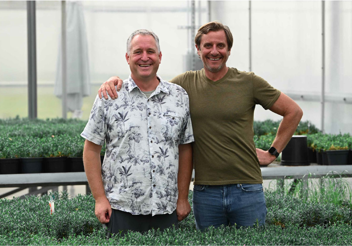 PlantHaven and GreenFuse partner to expand Whetman Dianthus portfolio in NA