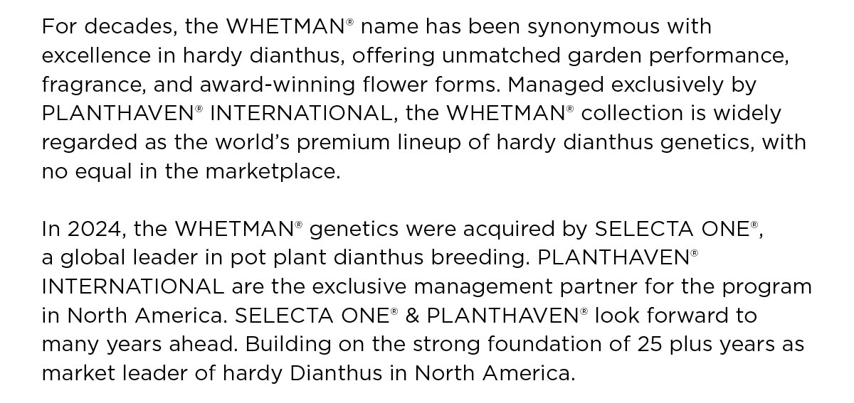 About Whetman and SelectaOne