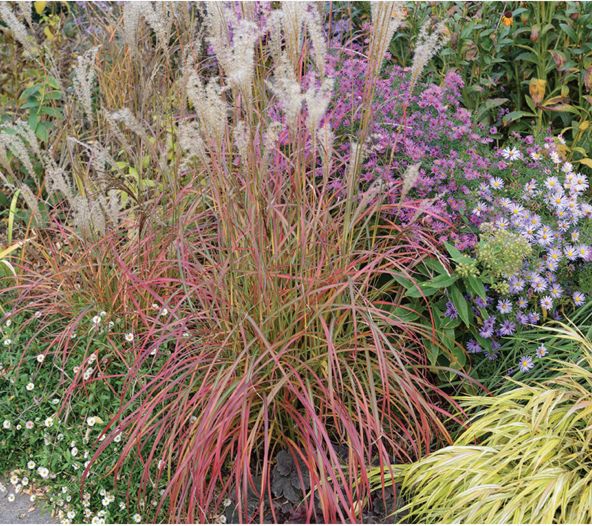 See the MYSTAL Collection at CAST