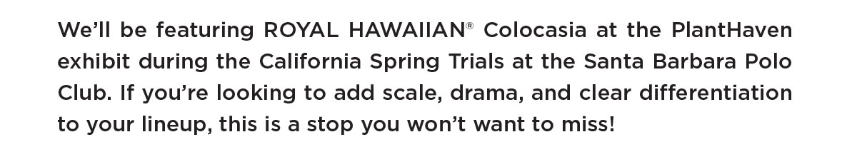 Santa Barbara Polo Club 