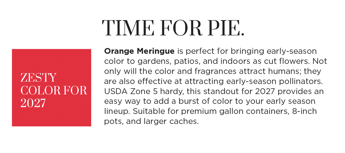 Time for Pie