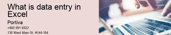 What is data entry in Excel