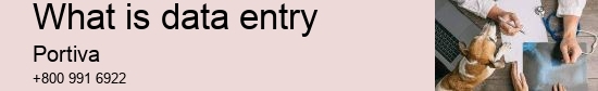 What is data entry
