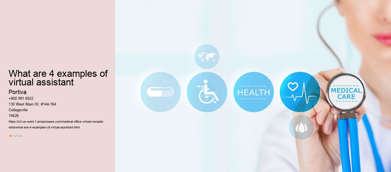 What are 4 examples of virtual assistant