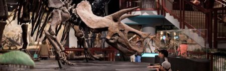 AZ Museum of Natural History Dinosaur and kids