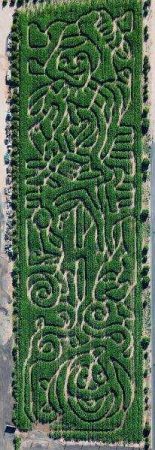 Corn Maze at Vertuccio Corn Maze at Vertuccio