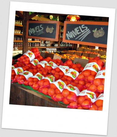 OrangePatch_edit The Orange Patch-2717 East Lehi Road, Mesa, AZ (480) 962-4490