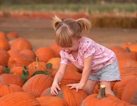 Girl with Pumpkins