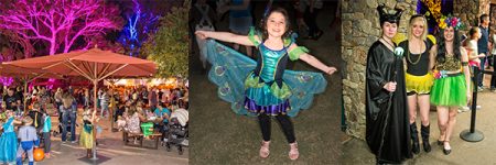 Halloween howl-o-ween phoenix zoo October 2018 event
