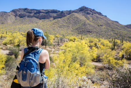 Hiking Wonderland