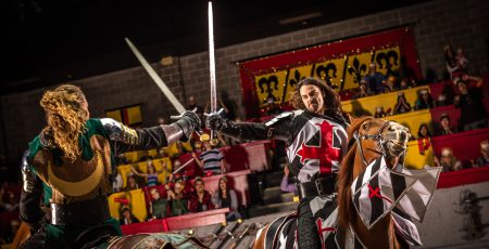 Medieval Times Web Banner