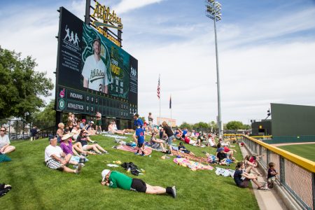 Oakland A's grass