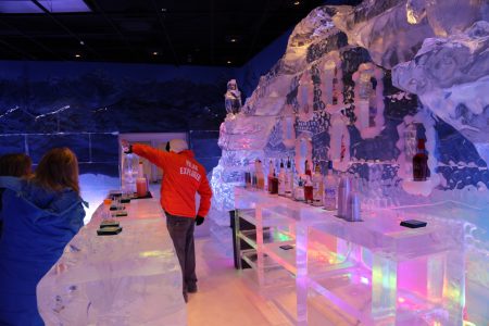 Polar Play Ice Bar