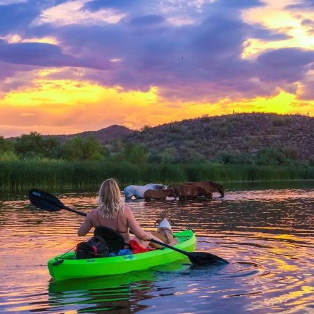 Salt River kayaker Wild Horses sunset crowdriff marketing rights approved cayventures