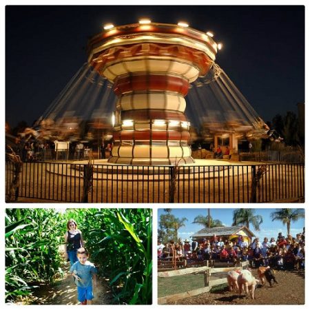 Pumpkin and Chili Party Rides and Activities Pumpkin and Chili Party