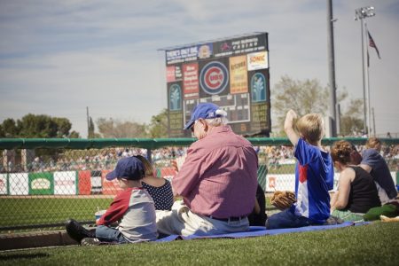 spring training cubs