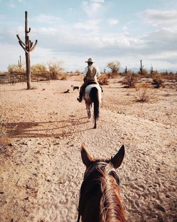 Fort McDowell Adventures Horseback Riding - Crowdriff