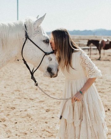 Fort McDowell Adventures Horseback Riding Horse - Crowdriff