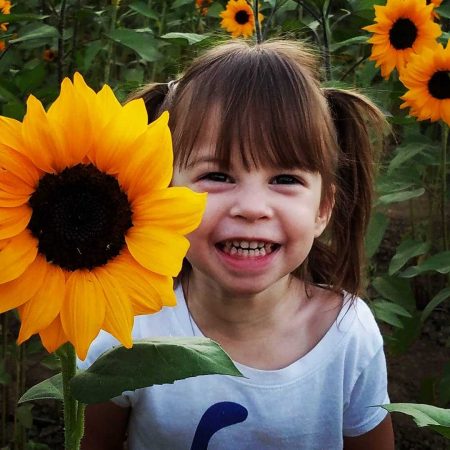 Schnepf Farms Sunflower Girl Instagram - Crowdriff
