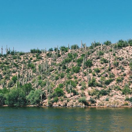 Saguaro Lake Desert Belle Scenery - Crowdriff