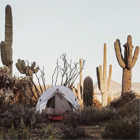 Camping Tent Lost Dutchman State Park Superstition Mountains - Crowdriff