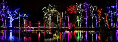 Zoolights at Phoenix Zoo Christmas Lights Holiday