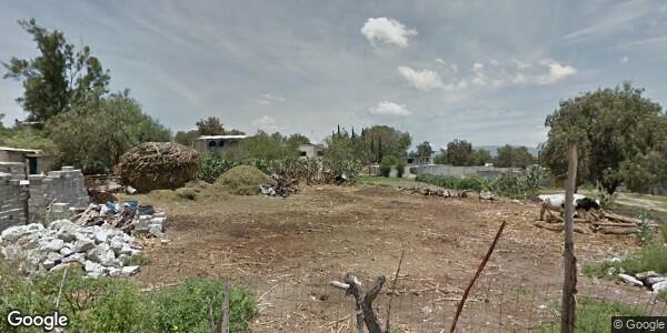 Imagen de ABARROTES CELESTE