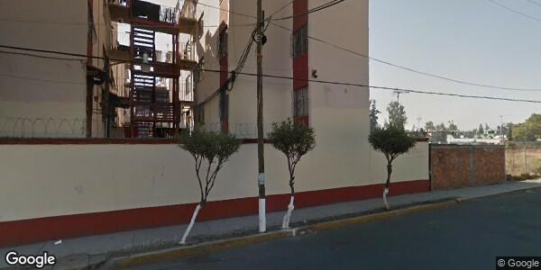 Imagen de LOS OYAMELES