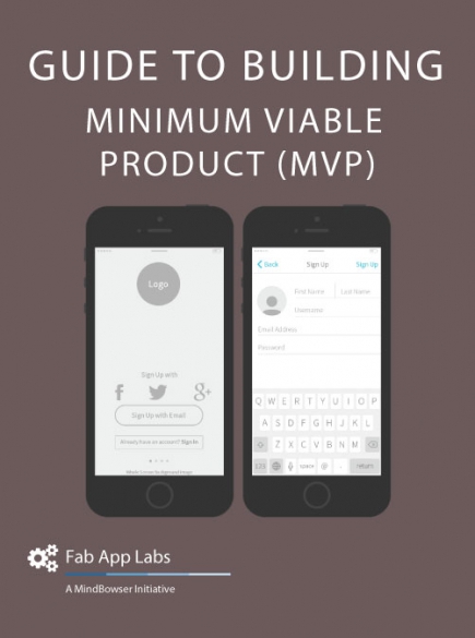 guide to building MVP