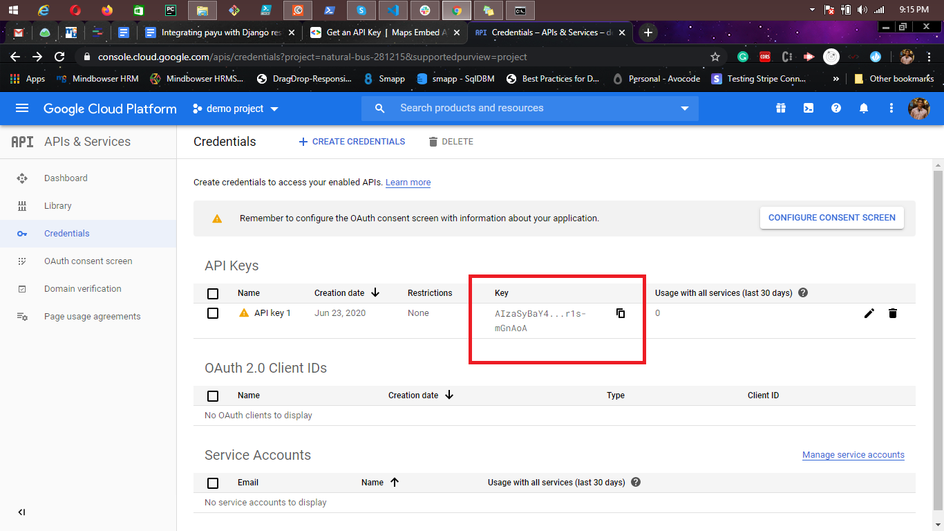 copy-api-key