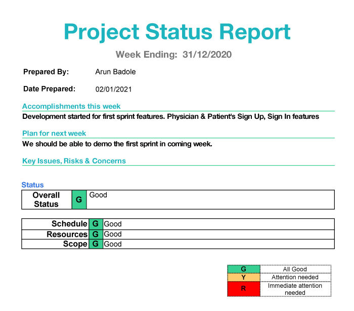 Sample Project Status Report