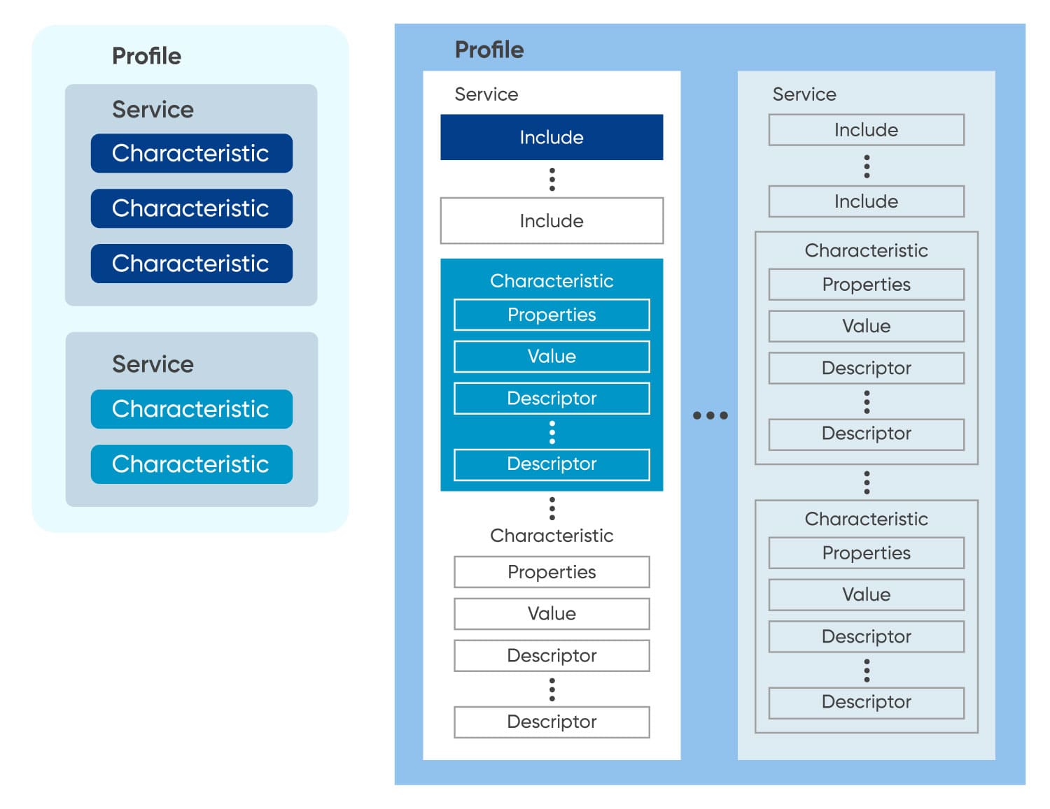 Attribute-And-Data-Hierarchy-1-1