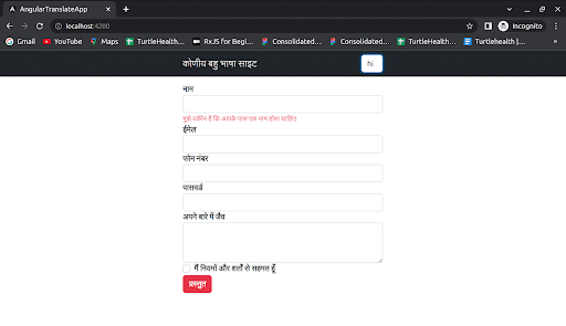 Angular Multi Language Support