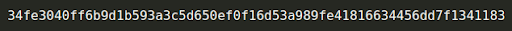 Run Docker Container