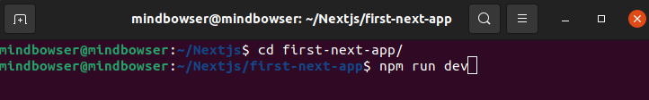 start development command