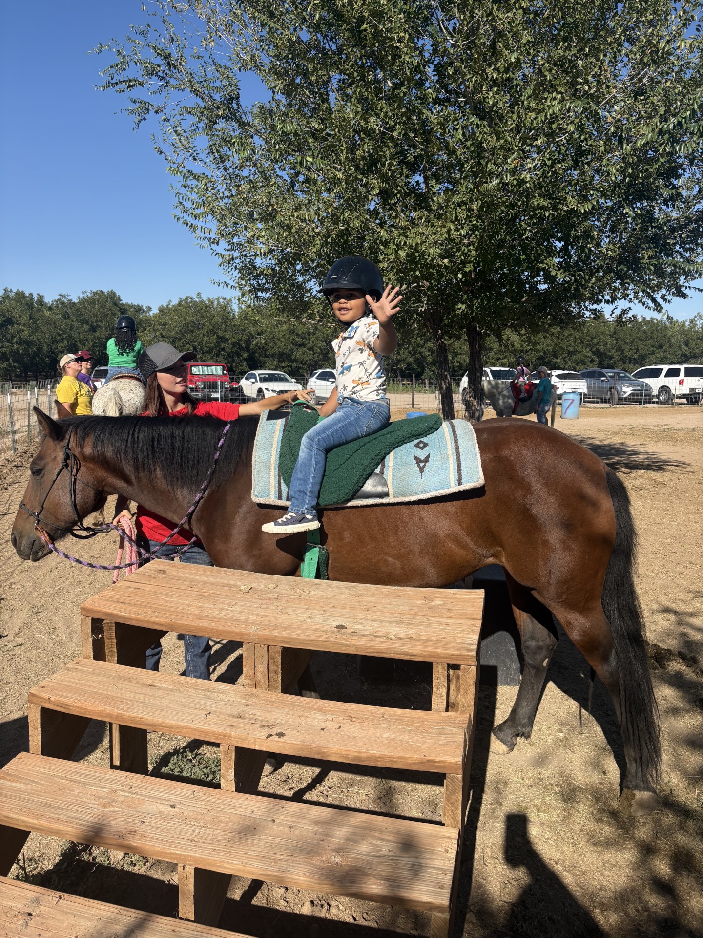 Therapeutic Horse Program