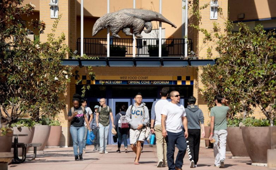 Students walking in Ring Road