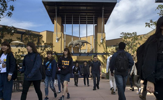 Dean Ian O. Williamson 