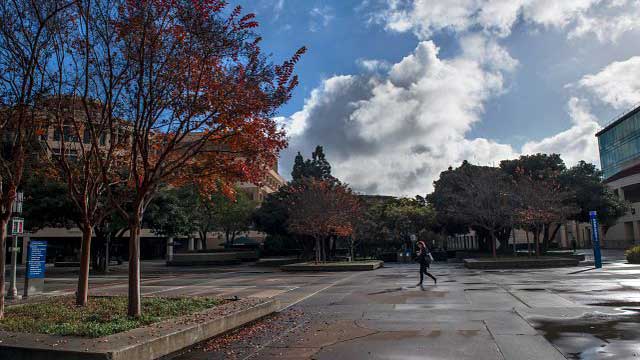 Sunlight breaks through clouds after a rain on the UCI campus photo: Steve Zylius/UCI