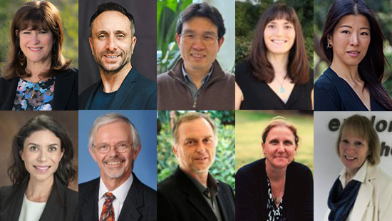 Collage of Academic Senate Distinguished Faculty Awardees for 2025-26
