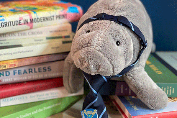 A photo of Hugh Manatee a stuffed animal perched on top of a pile of books