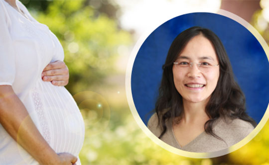 Jun Wu, PhD, professor of environmental and occupational health