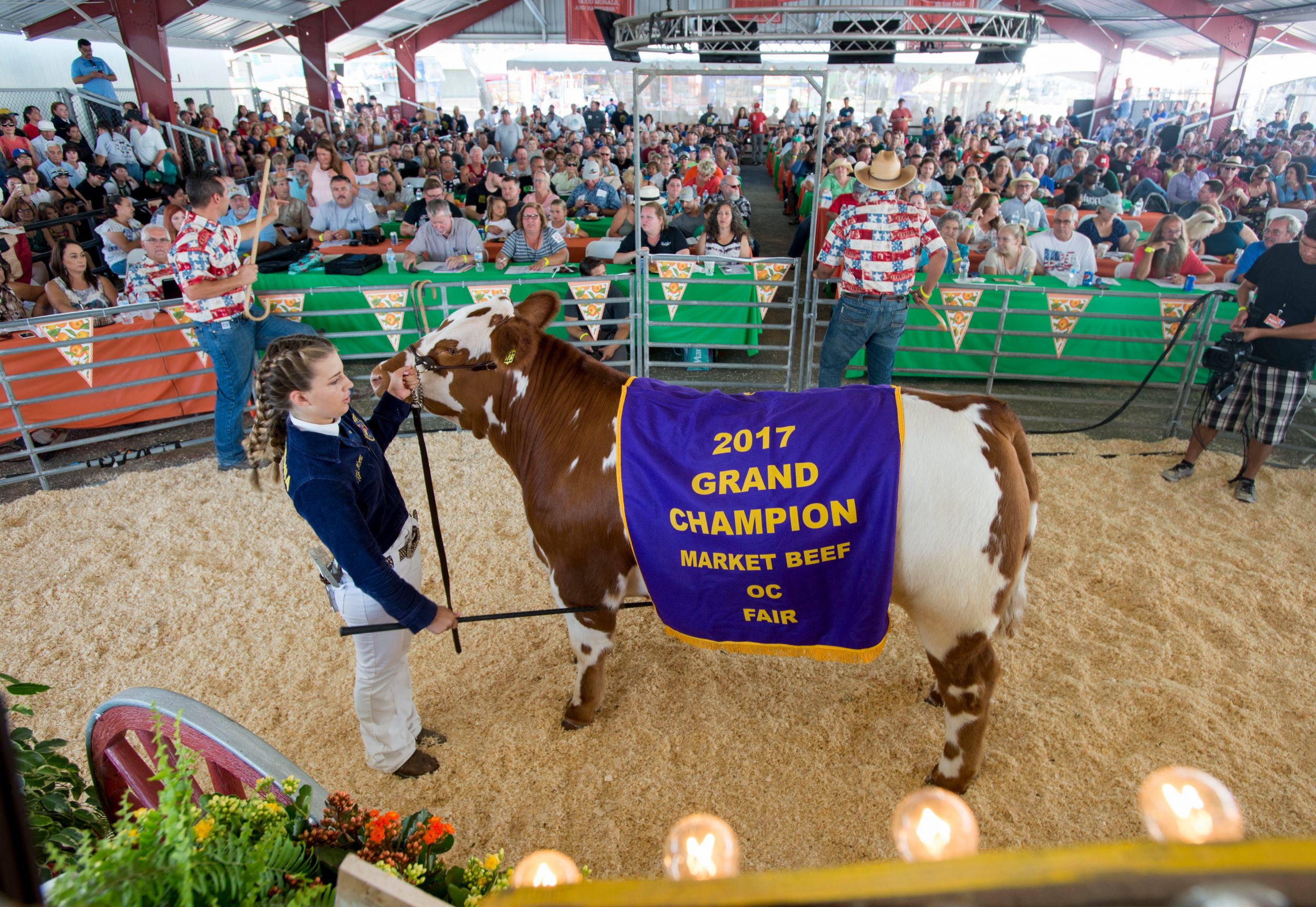 Junior Livestock Auction OC Fair Event Center Costa Mesa CA