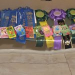 30 Years of Fair Fun by Larry Beltramo